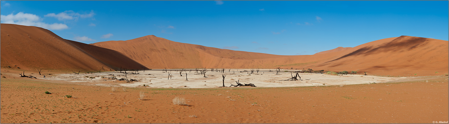 ...Dead Vlei #3