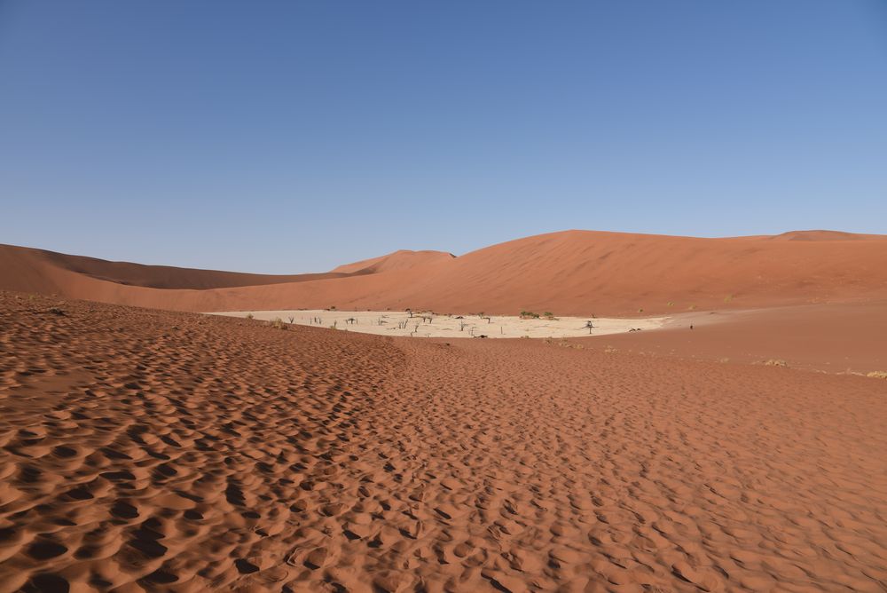 Dead Vlei 3