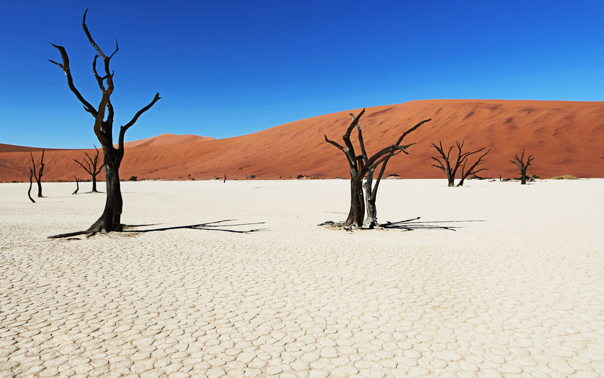 Dead vlei, 3