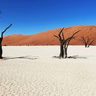 Dead vlei, 3