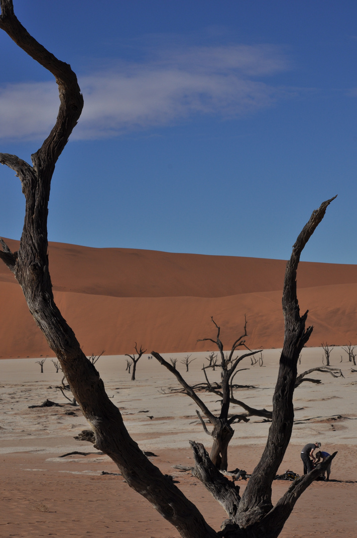 Dead Vlei 3