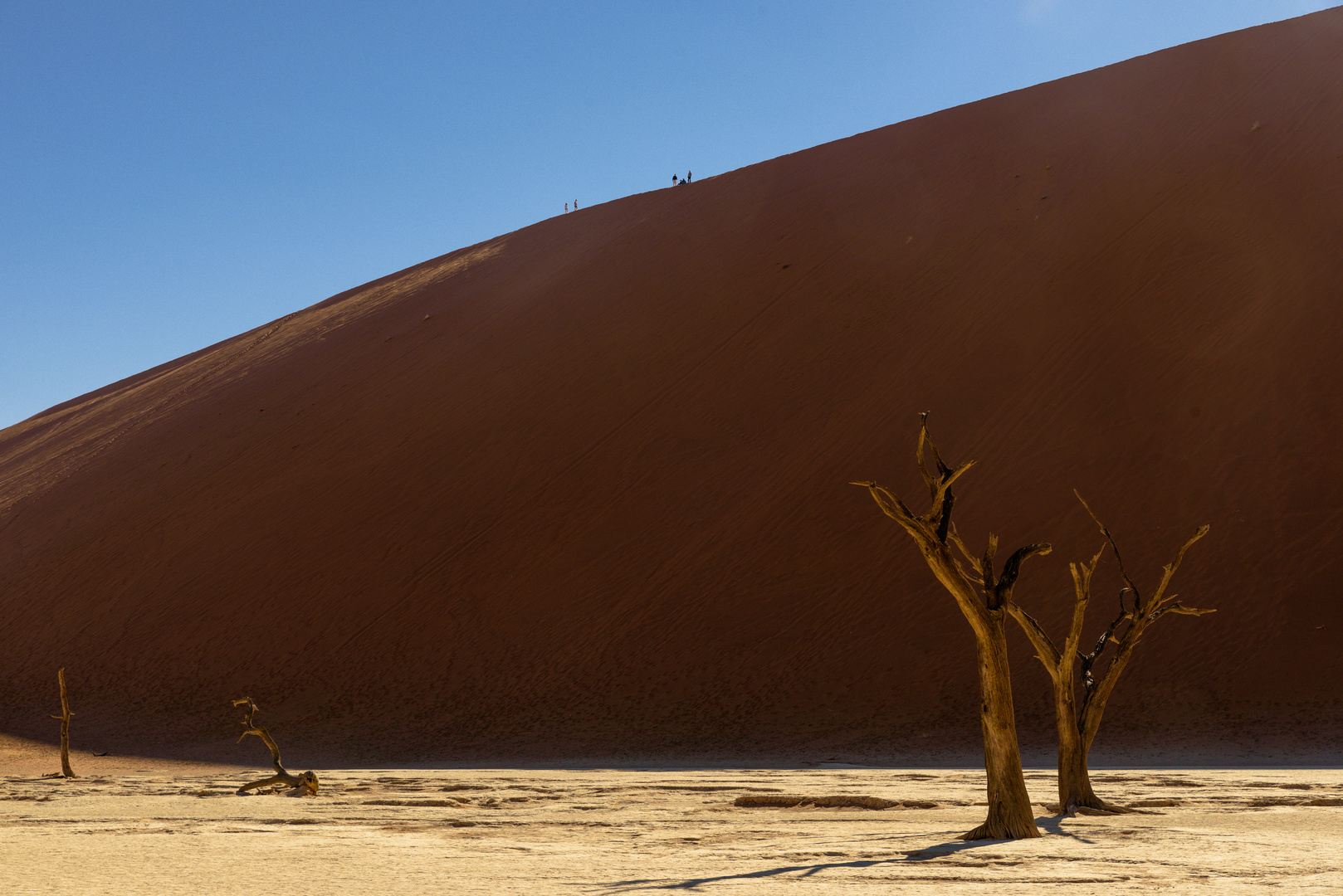 Dead Vlei 3