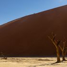 Dead Vlei 3