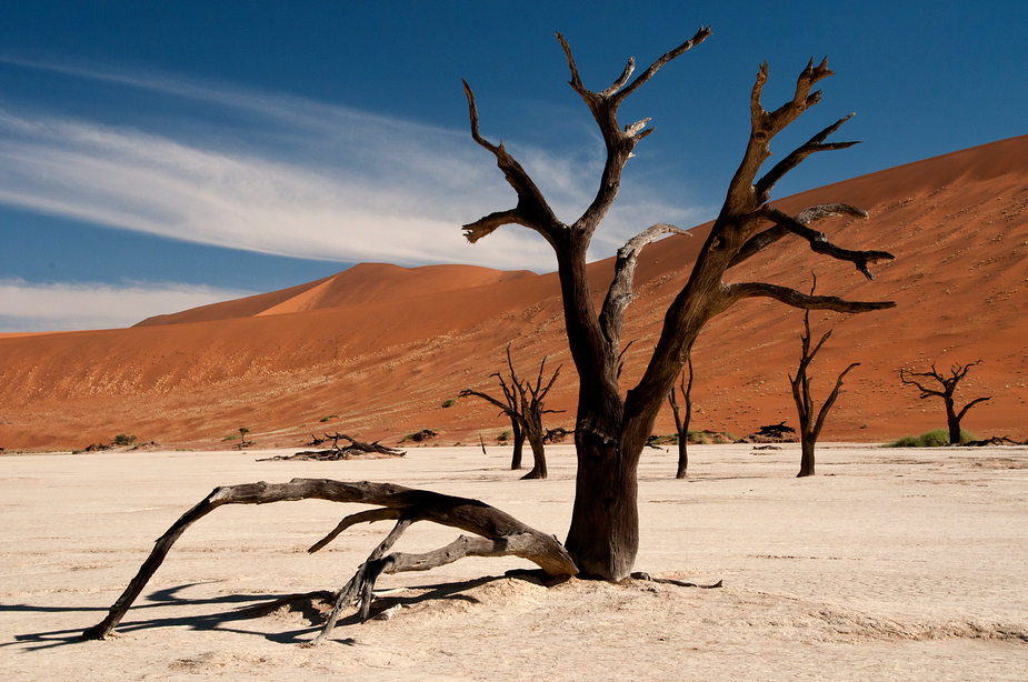 Dead Vlei 3