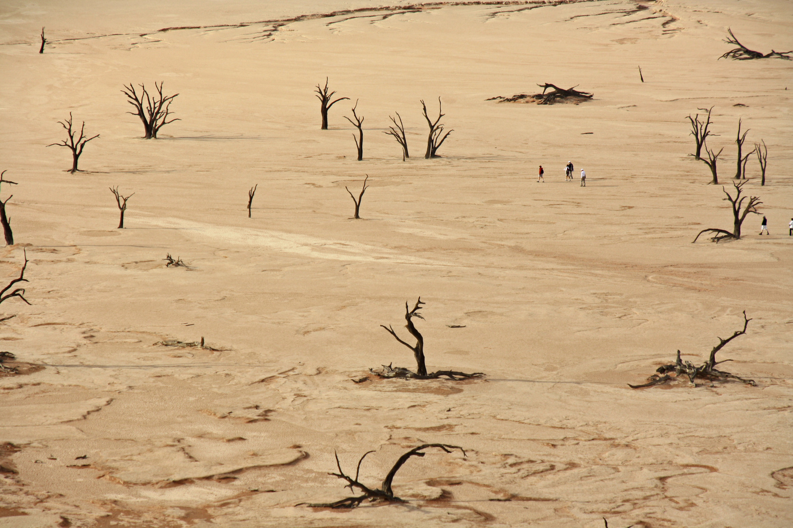 Dead Vlei