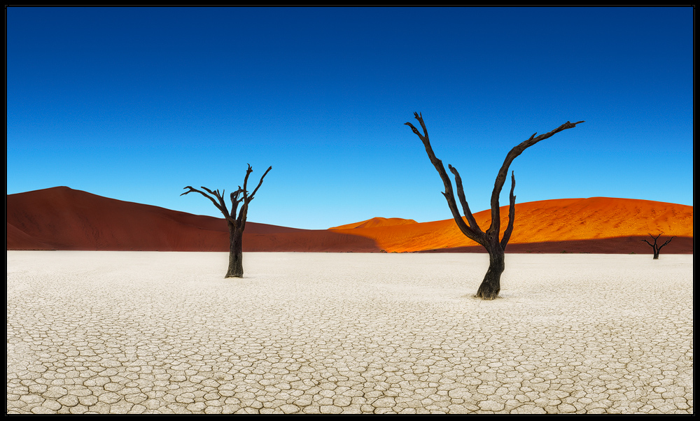 Dead Vlei