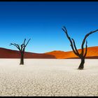 Dead Vlei