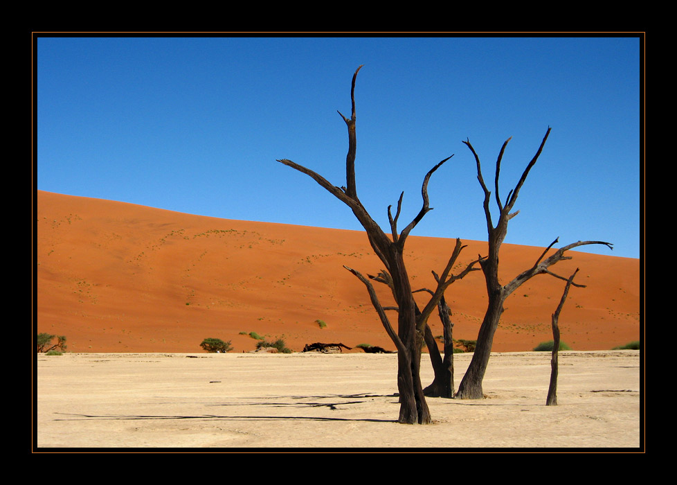 Dead Vlei