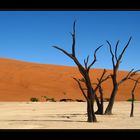 Dead Vlei