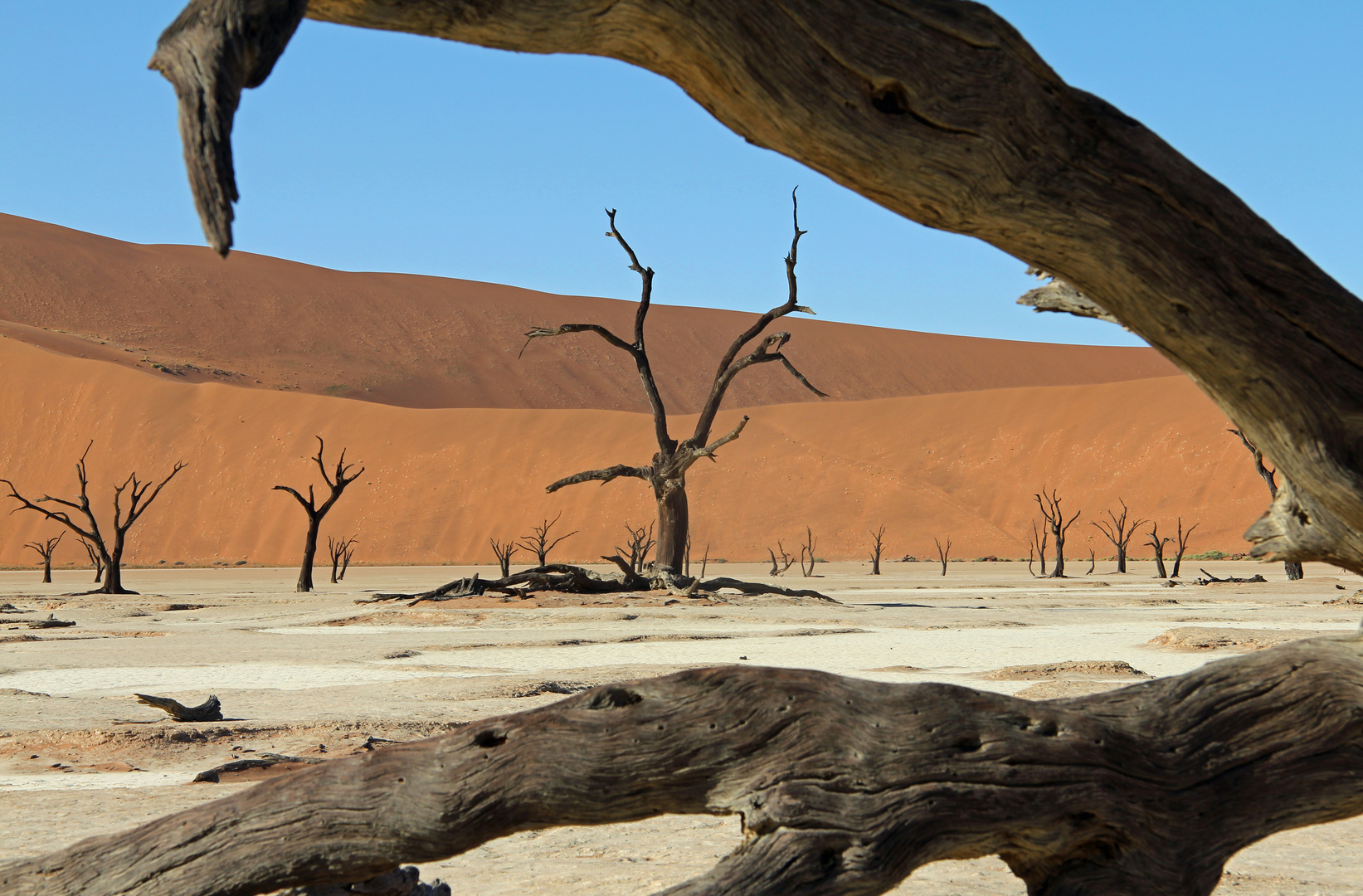 Dead Vlei