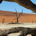 Dead Vlei