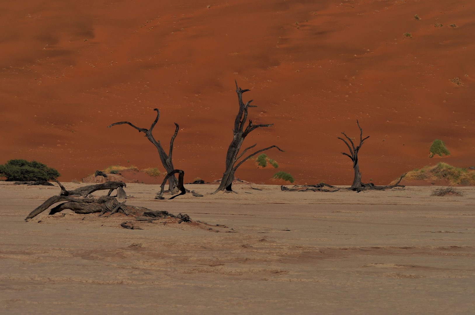 Dead Vlei 4