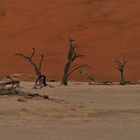 Dead Vlei 4