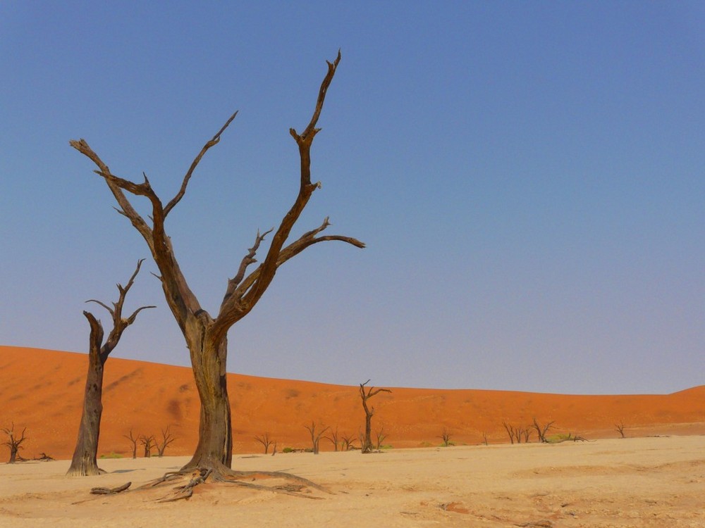 Dead Vlei