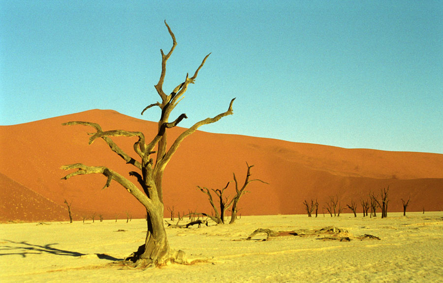 dead vlei