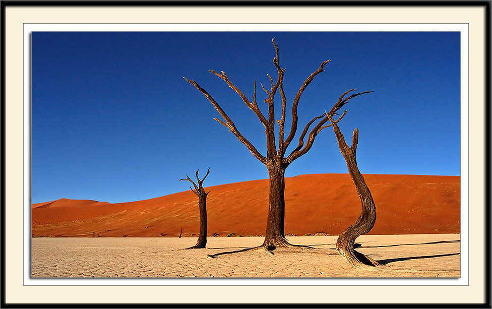 Dead Vlei