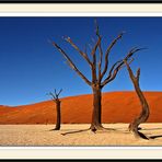 Dead Vlei