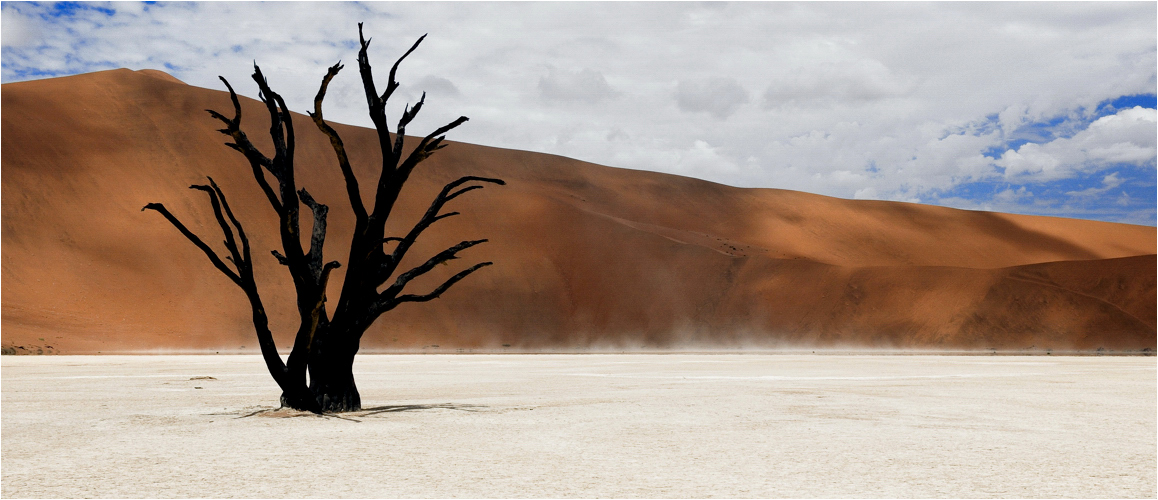 Dead Vlei..