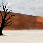 Dead Vlei..