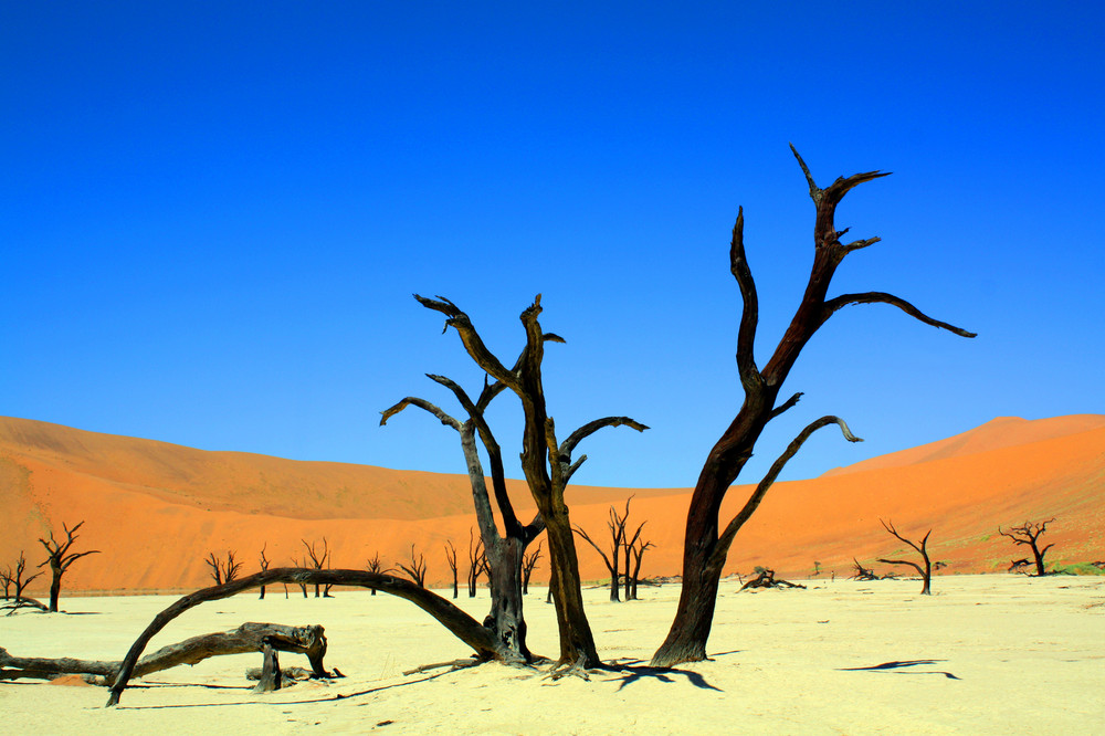 dead vlei