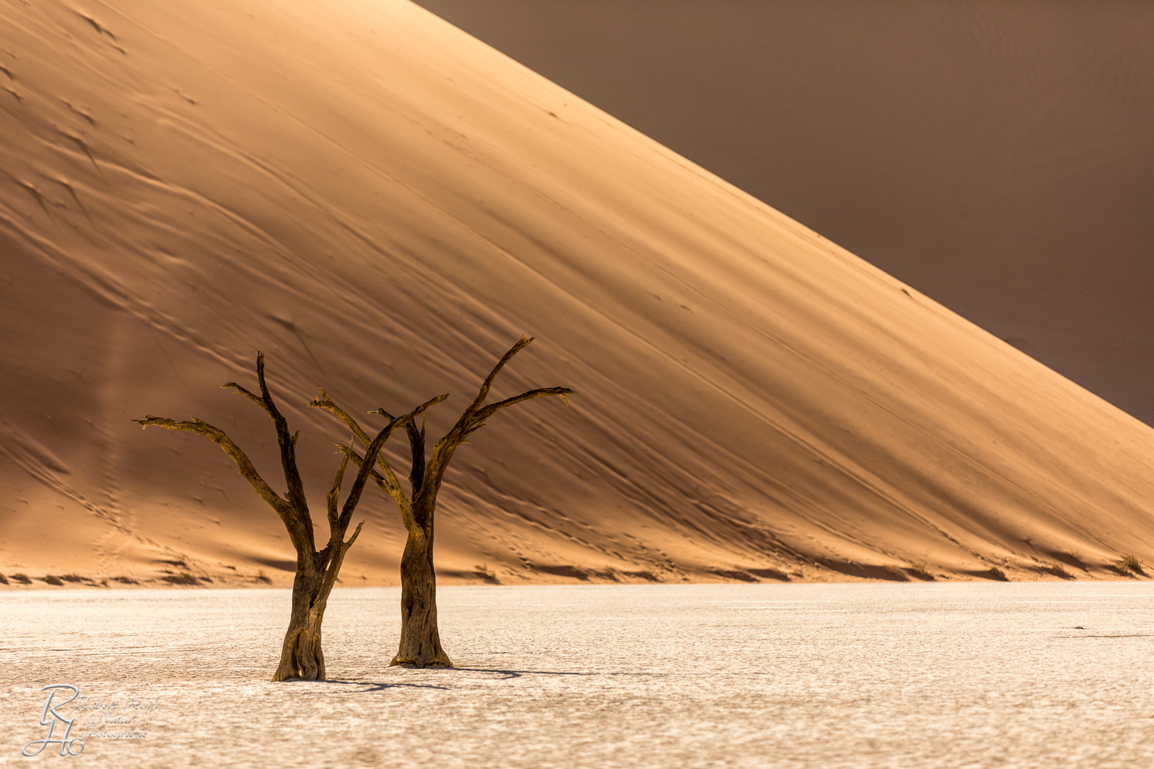 Dead Vlei