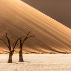 Dead Vlei