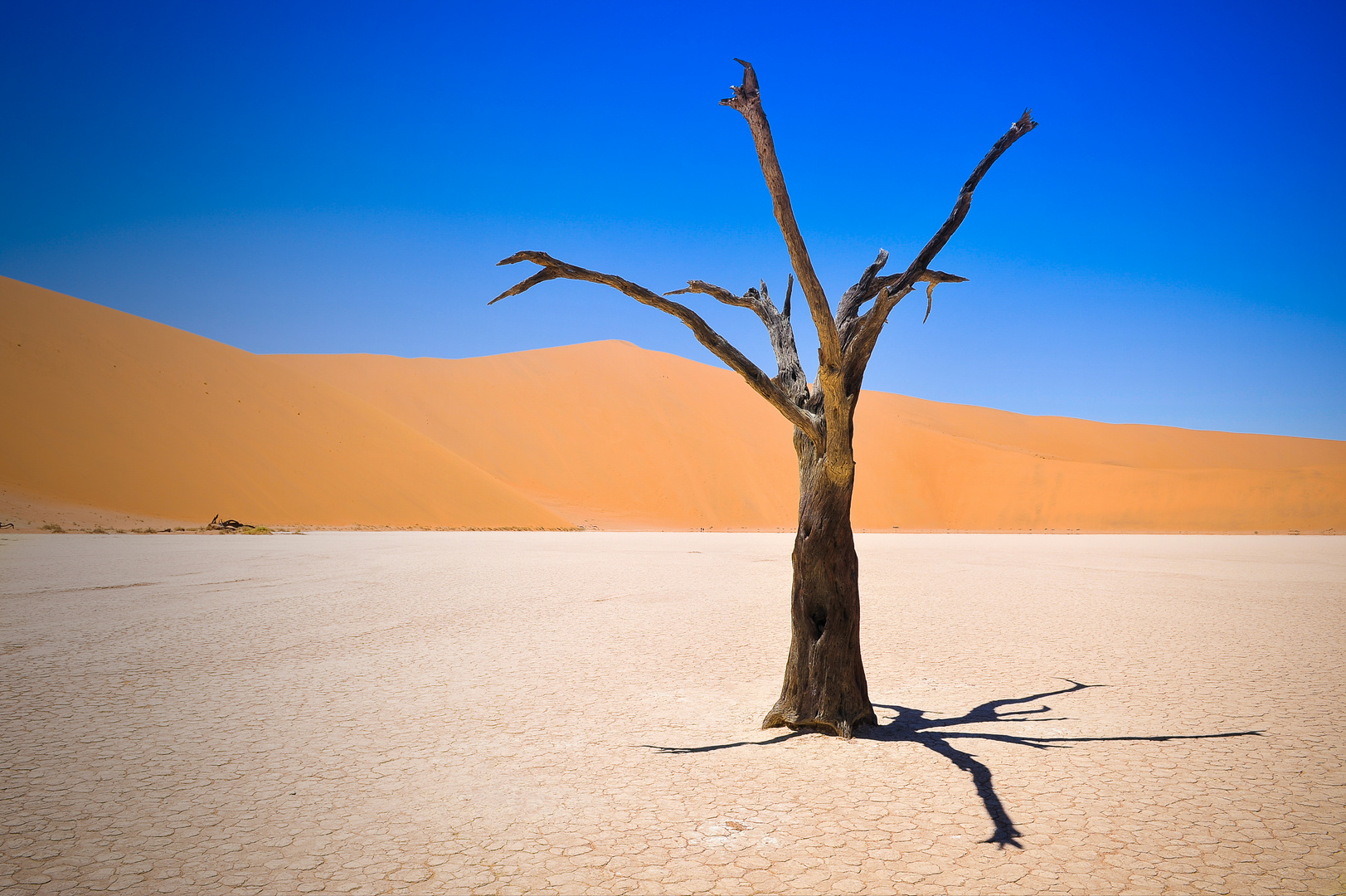 Dead Vlei