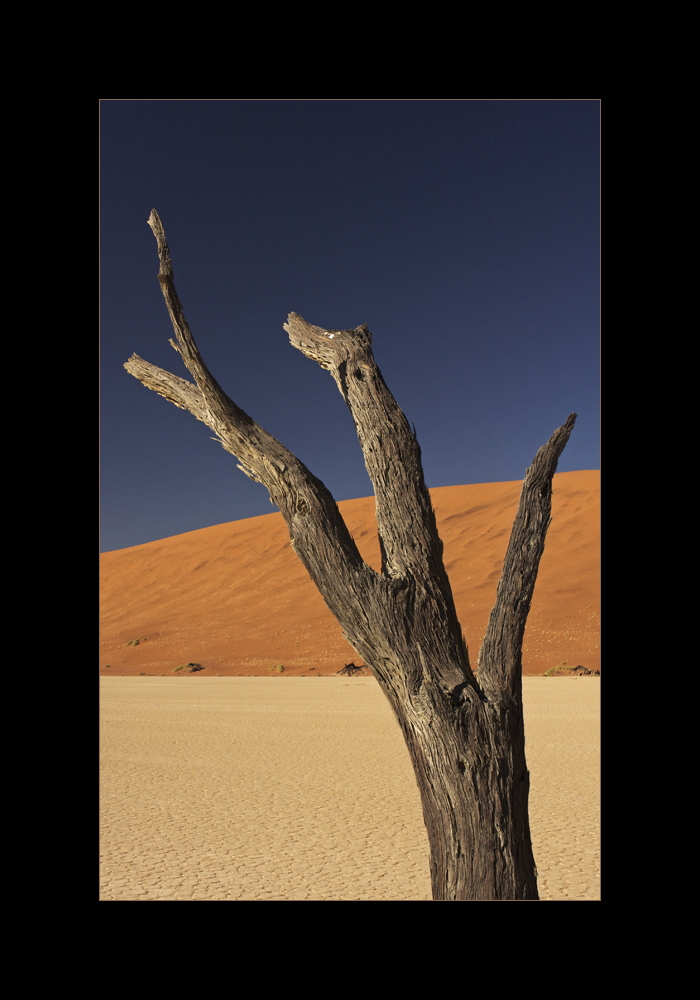 . dead vlei .