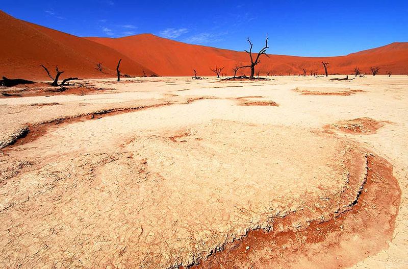 Dead Vlei