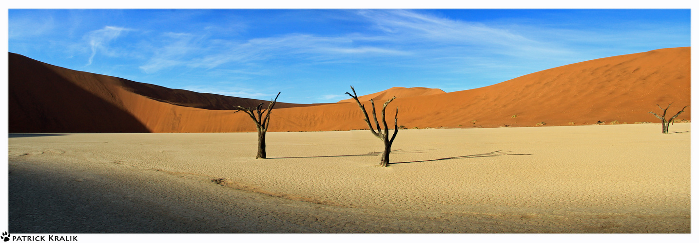 Dead vlei