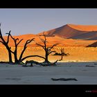 Dead Vlei