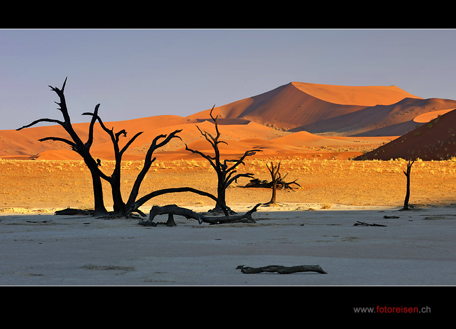 Dead Vlei