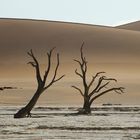 Dead Vlei 5