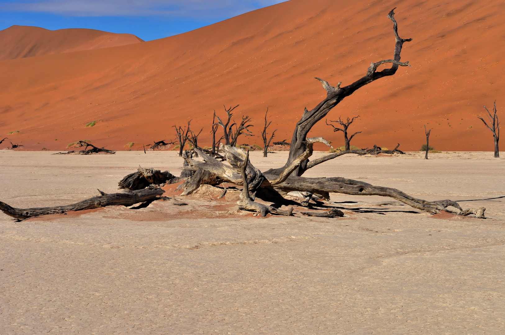 Dead Vlei 5