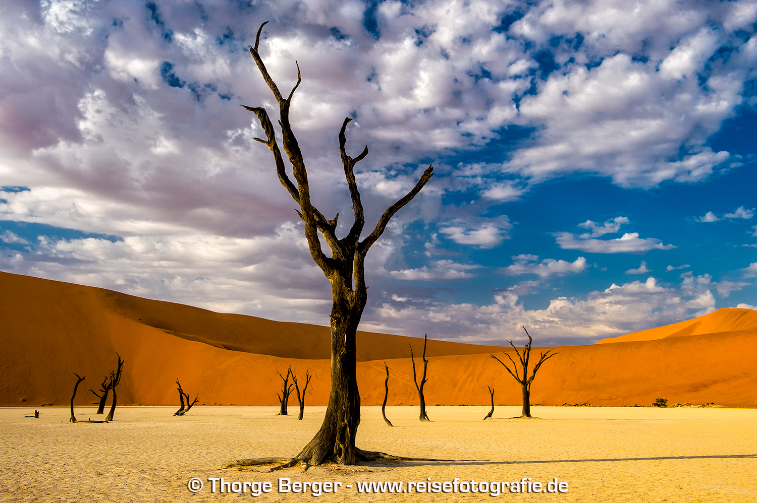 Dead Vlei