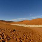 Dead Vlei