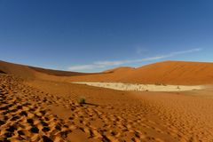 Dead Vlei