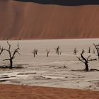 Dead Vlei