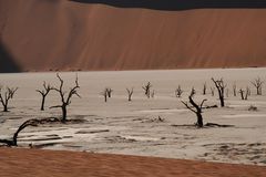 Dead Vlei