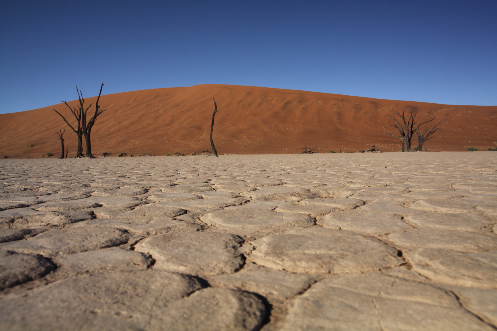 dead vlei