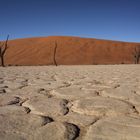 dead vlei