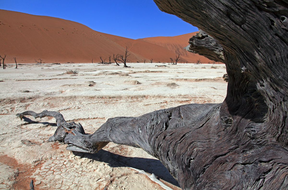 Dead Vlei