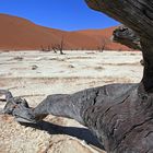 Dead Vlei