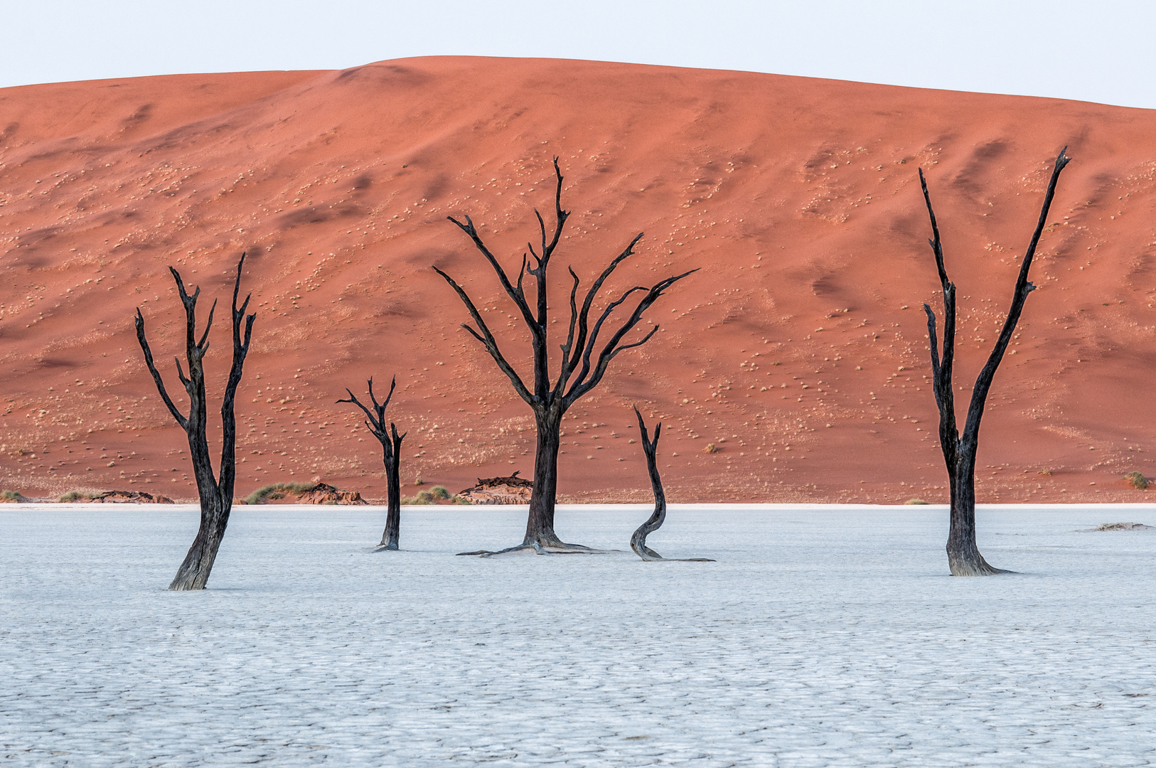 Dead Vlei