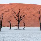 Dead Vlei