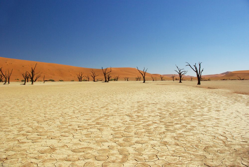 Dead Vlei