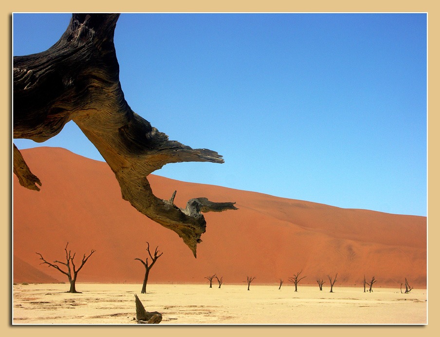 Dead Vlei