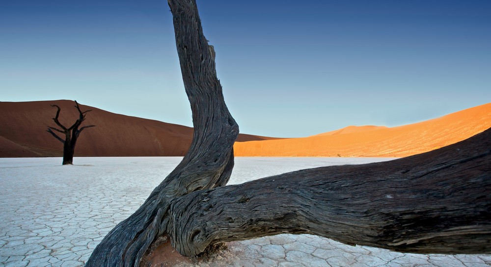 Dead Vlei