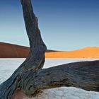 Dead Vlei