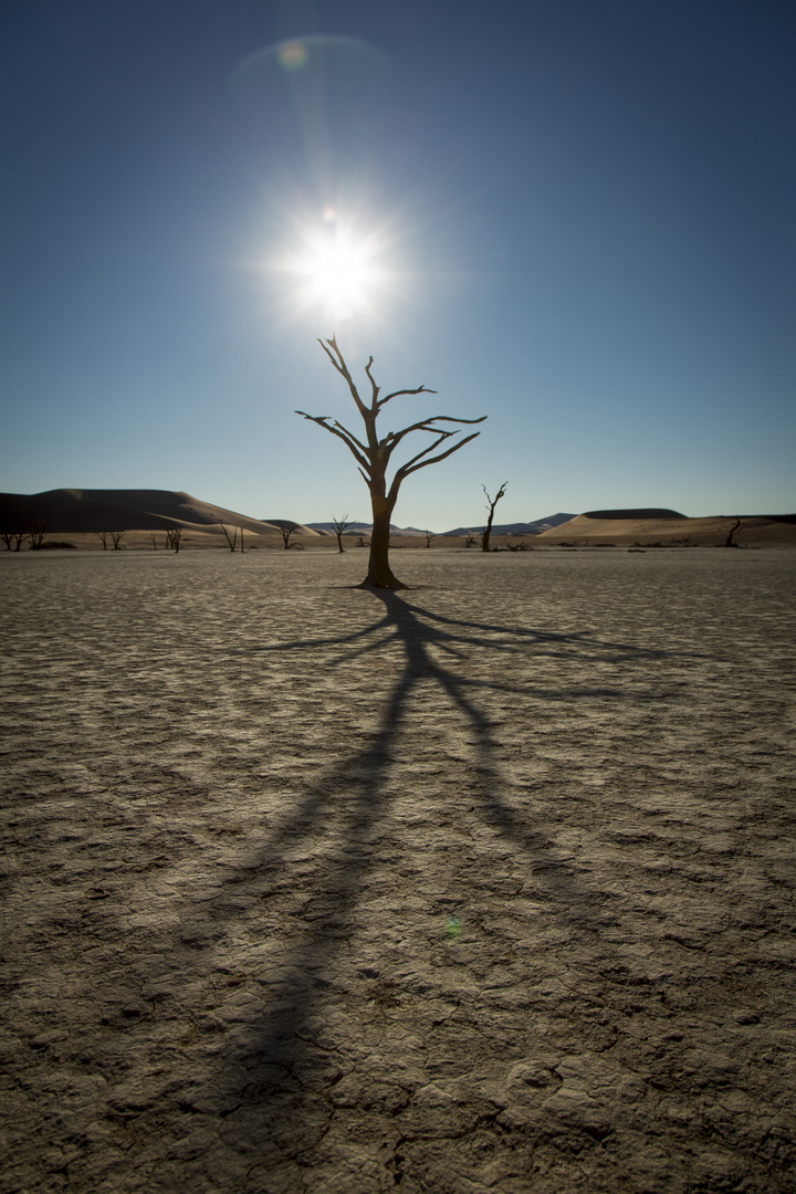 Dead Vlei